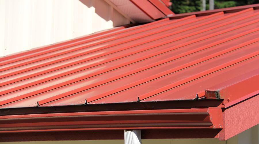 Industrial Roof Inspection in Lasara, TX